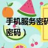手機服務密碼初始密碼一般是什么（手機服務密碼）