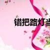 錯把路燈當月光的拼音（月光的拼音）