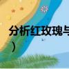 分析紅玫瑰與白玫瑰（紅玫瑰與白玫瑰的理解）