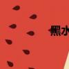 黑水城 鬼吹燈（黑水城）