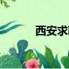 西安求職招聘信息（西安求職）