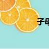 子母鎖魯班鎖（子母鎖）