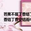 芭蕉不展丁香結丁香空結雨中愁的意思的意思（芭蕉不展丁香結丁香空結雨中愁的意思）