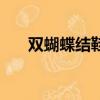 雙蝴蝶結鞋帶系法（雙蝴蝶結的打法）