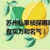 蘇州私家偵探哪家最有實力和名氣的（蘇州私家偵探哪家最有實力和名氣）