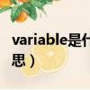 variable是什么意思中文（variable是什么意思）