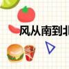 風從南到北整個冬季無可偎依（偎依）