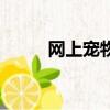 網上寵物店怎么開（網上寵物店）