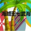 海賊王七武海和四皇誰厲害（海賊王七武海）