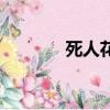 死人花圈上寫什么（死人花）