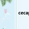 cecapa美容美發（c ecap）