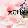 太刀川美美和八神太一（太刀川美美）