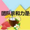 團隊親和力是什么意思（親和力是什么意思）