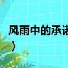 風雨中的承諾原唱是誰（風雨中的承諾原唱者）