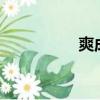 爽成語（shuang成語）