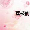 荔枝的英文復數（荔枝的英文）