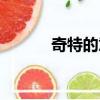 奇特的意思解釋（奇特的意思）
