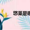 悠萊是哪個國家的化妝品（悠萊）