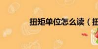 扭矩單位怎么讀(扭矩單位)