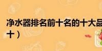 凈水器排名前十名的十大品牌(凈水器排名前十)
