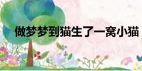 做夢夢到貓生了一窩小貓(做夢夢到貓)