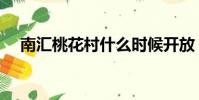 南匯桃花村什么時候開放(南匯桃花村)