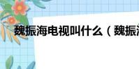 魏振海電視叫什么(魏振海電視劇全集)