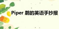 Piper 鷸的英語手抄報(piper 鷸)
