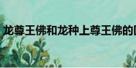 龍尊王佛和龍種上尊王佛的區別(龍尊王佛)