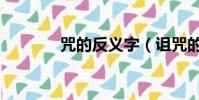 咒的反義字(詛咒的反義詞)