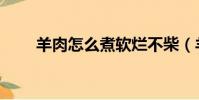 羊肉怎么煮軟爛不柴(羊肉怎么煮)
