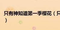 只有神知道第一季櫻花(只有神知道觀看順序)