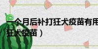 一個月后補打狂犬疫苗有用嗎(一個月后補打狂犬疫苗)