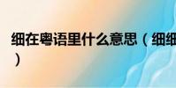 細在粵語里什么意思(細細個粵語是什么意思)