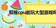 雙核cpu能玩大型游戲嗎(雙核cpu)