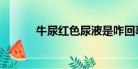 牛尿紅色尿液是咋回事(牛尿)