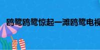 鷗鷺鷗鷺驚起一灘鷗鷺電視劇臺詞(鷗鷺)