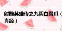 射雕英雄傳之九陰白骨爪(射雕英雄傳之九陰真經)