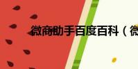 微商助手百度百科(微商好助手)
