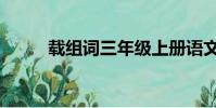 載組詞三年級上冊語文(載組詞)