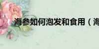 海參如何泡發和食用(海參如何泡發)