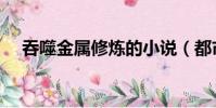 吞噬金屬修煉的小說(都市之吞噬金屬)