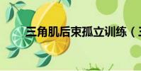 三角肌后束孤立訓練(三角肌后束)