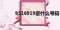 9516919是什么號碼(95169)