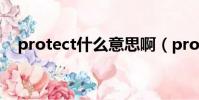 protect什么意思啊(protect什么意思)