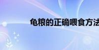 龜糧的正確喂食方法(龜米)