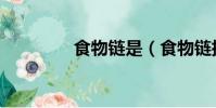 食物鏈是(食物鏈指什么)