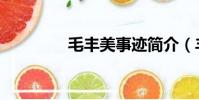 毛豐美事跡簡介(豐美萊)