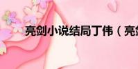 亮劍小說結局丁偉(亮劍小說結局)