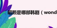 昭熙是哪部韓劇(wonder girls昭熙)